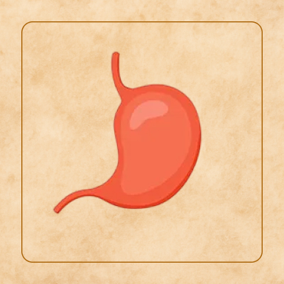 پکیج های سلامت